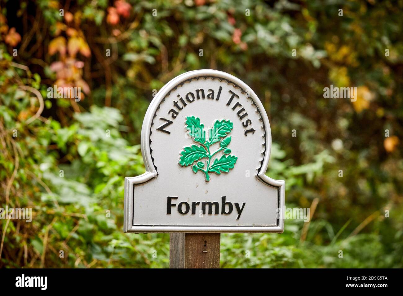Formby Merseyside, England.  National trust wood and beach front Stock Photo
