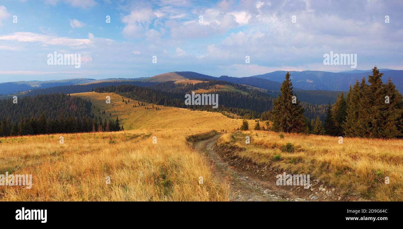 Beautiful mountain road in forest hi-res stock photography and images ...