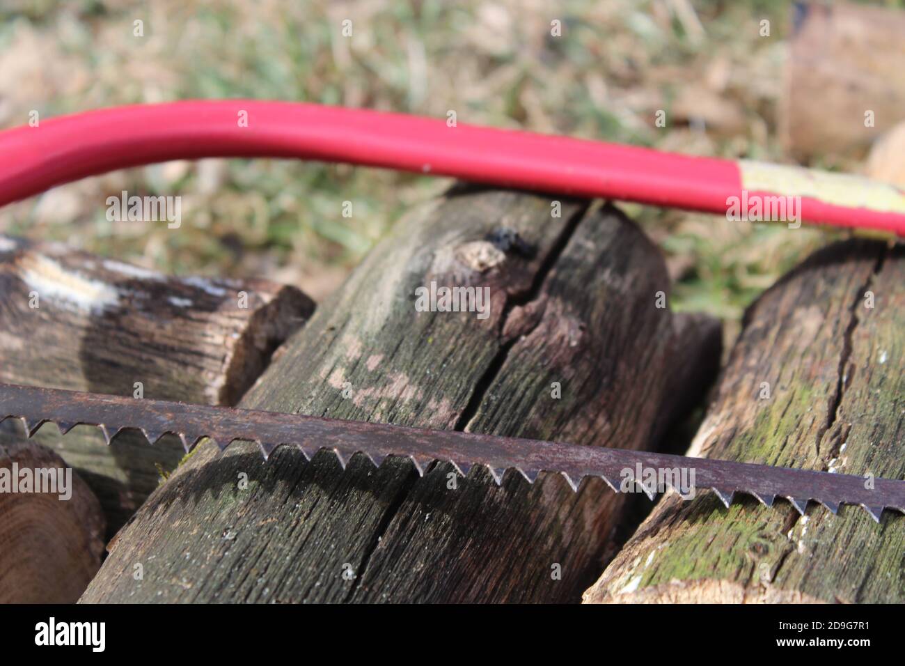 saw and logs Stock Photo Alamy