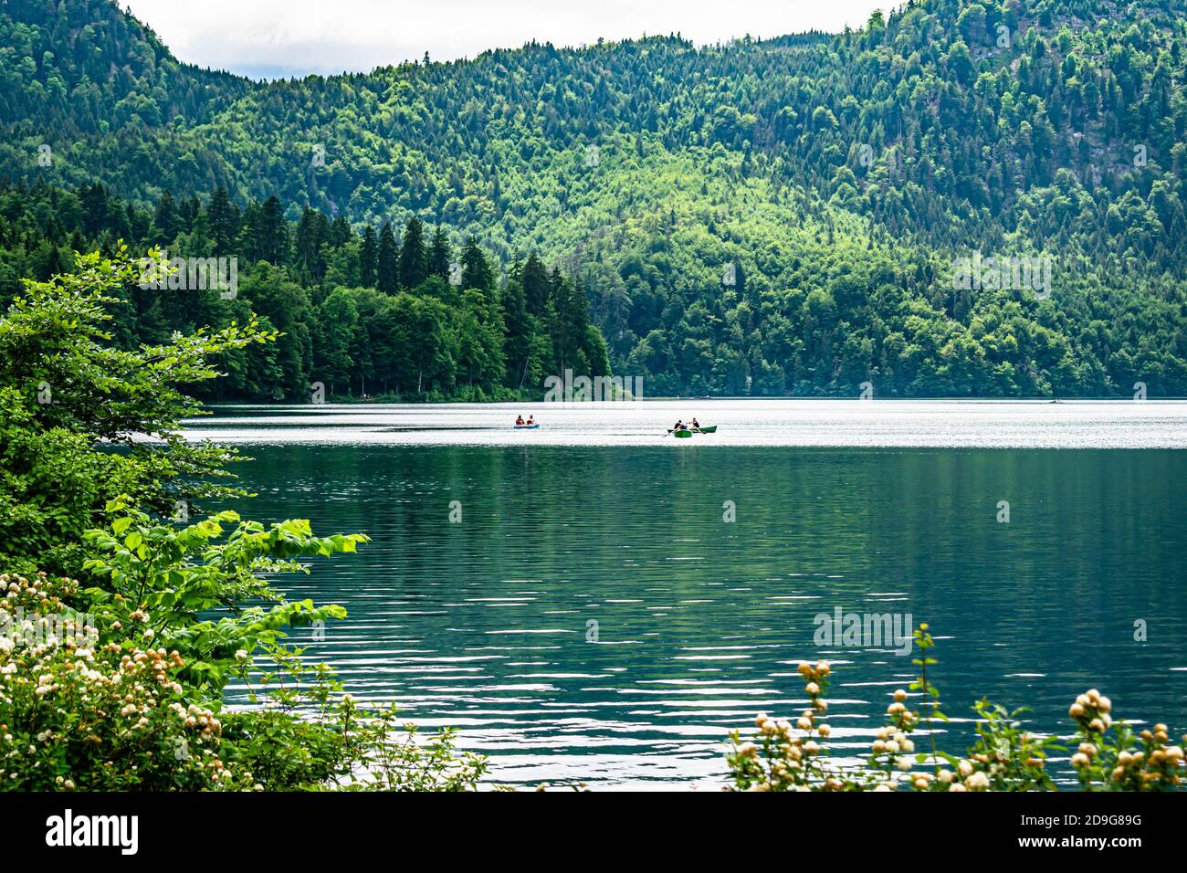 Hohenschwangau Lake, Fussen, Germany, embellishing themountain landscape on a sunny day, bordering the green hills of the forest. Stock Photo
