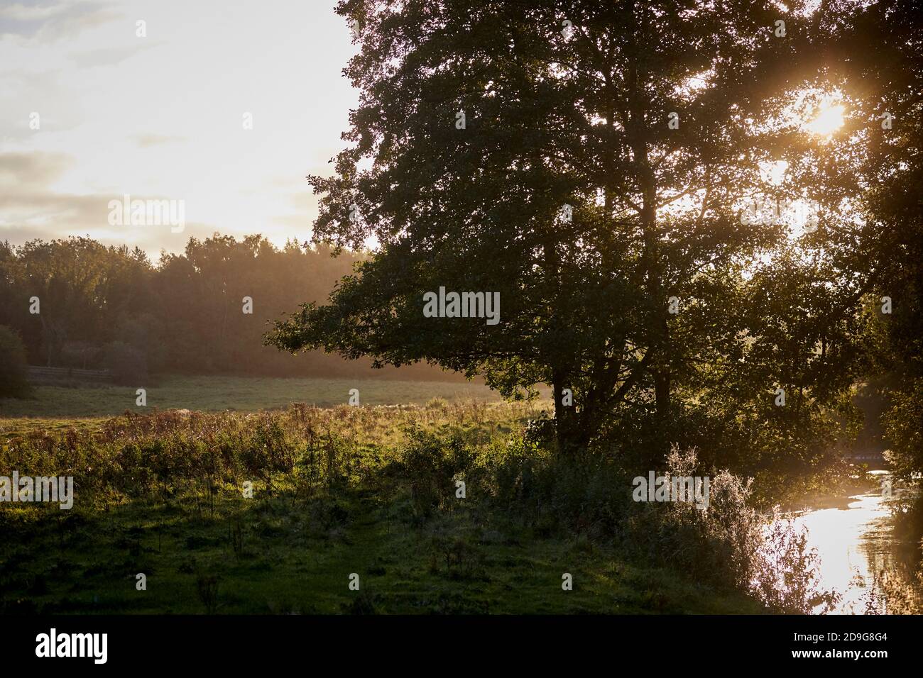 Wilmslow woods, Bollin Valley in Autumn with he river Bollin Stock