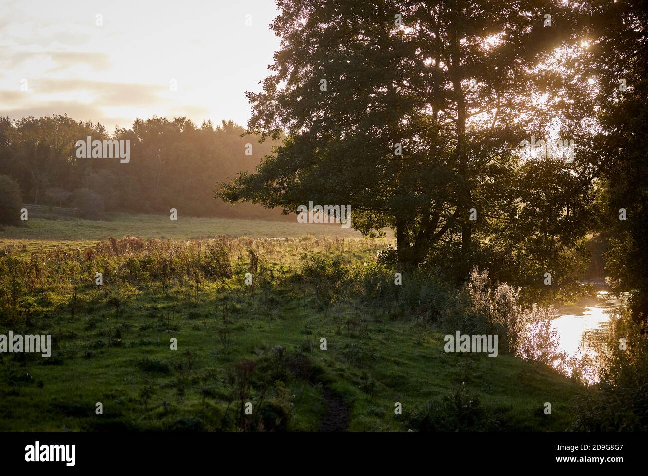 Wilmslow woods, Bollin Valley in Autumn with he river Bollin Stock