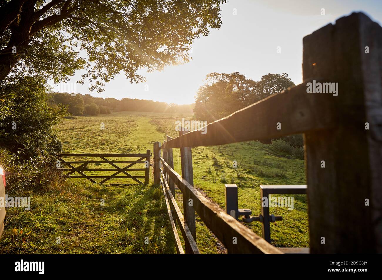Wilmslow woods, Bollin Valley in Autumn with he river Bollin Stock