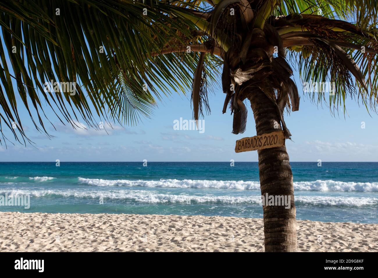 Wooden sign saying 'Barbados 2020' on palm tree in front of beach waves, January 2020 pre-pandemic Stock Photo