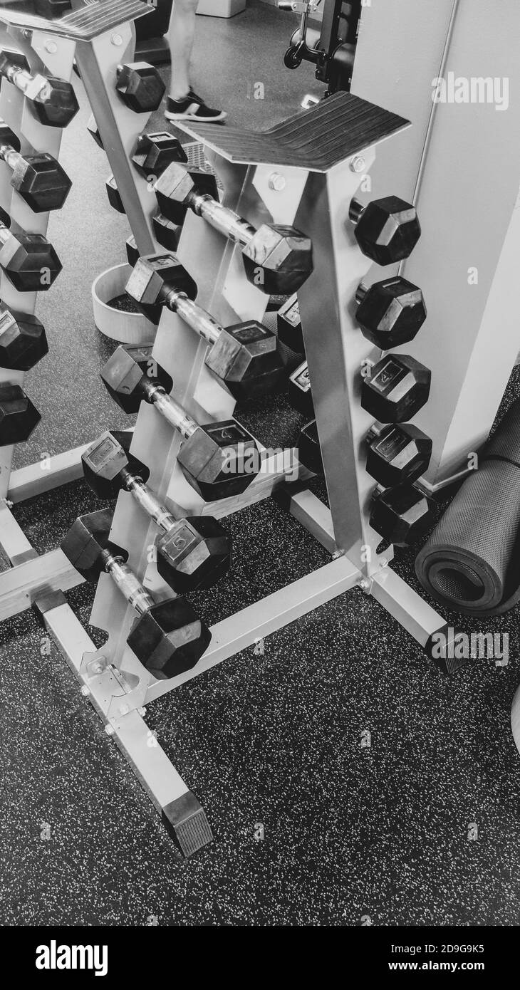 Dumbbells of different weights for bodybuilding and sports activity in a gym Stock Photo