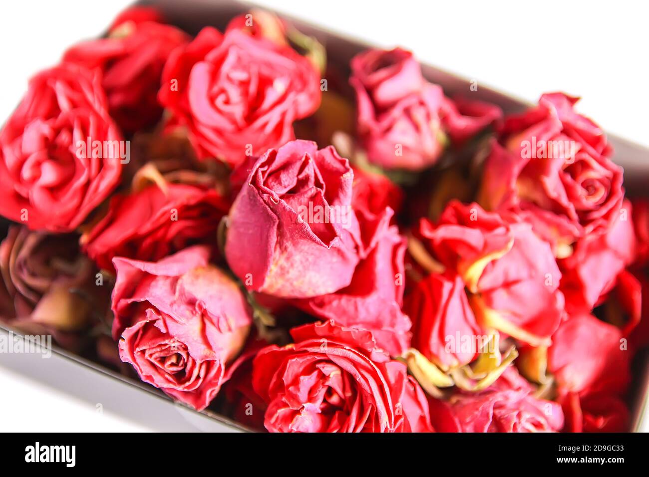 Shredded Roses Red rose dried buds, flowers and petals in the opened cardboard box ...