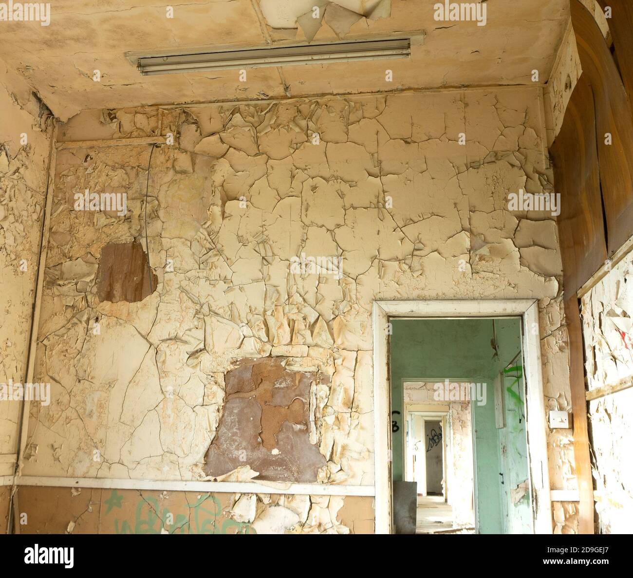 Paint peeling off a damp wall Stock Photo - Alamy