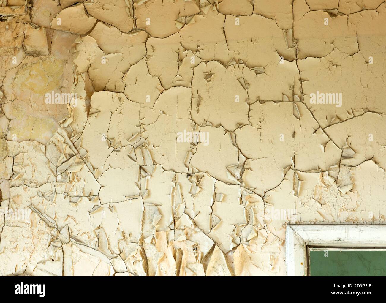 Paint peeling off a damp wall Stock Photo Alamy