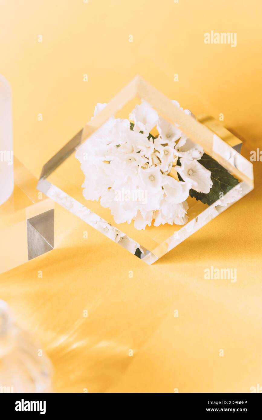 Acrylic Solid Display Blocks Stock Photo - Alamy