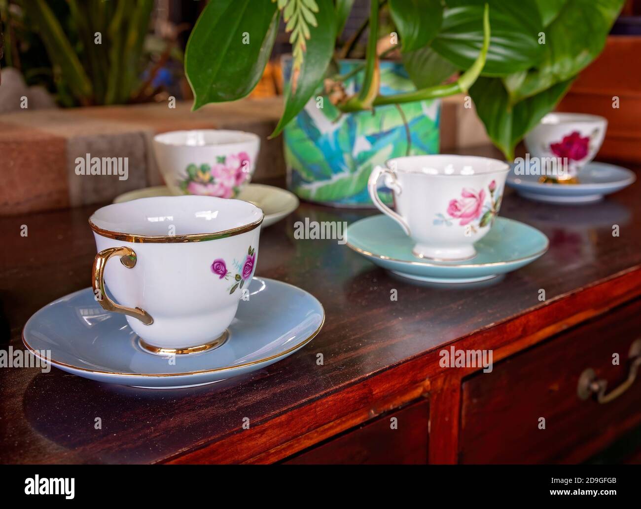 A row of decorative tea cups on display at a coffee shop Stock Photo