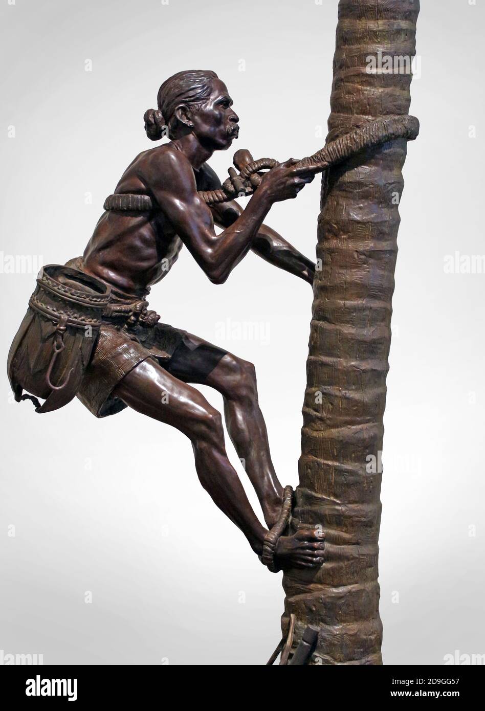 Tamil man climbing tree hires stock photography and images Alamy