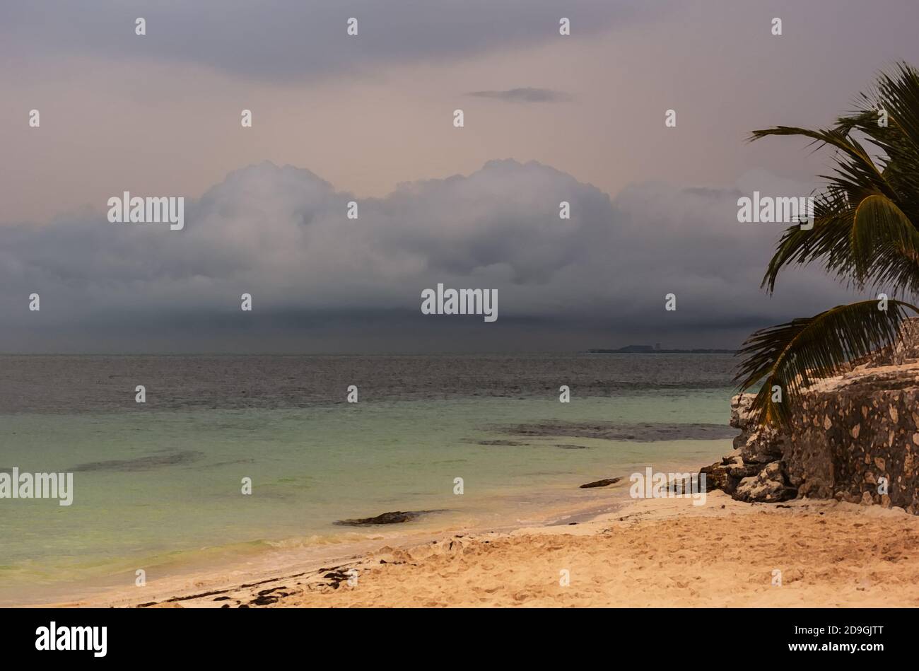 Blue and green sea sand coast with palms before charming sunrise Stock
