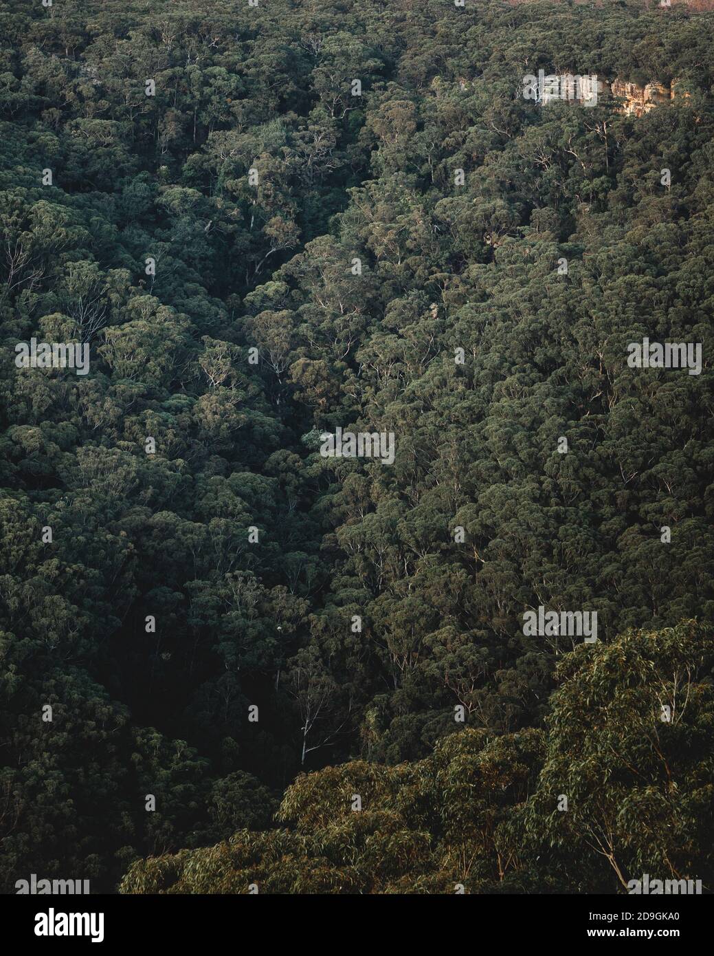 Tree-covered mountain in Stanwell Park, Australia Stock Photo