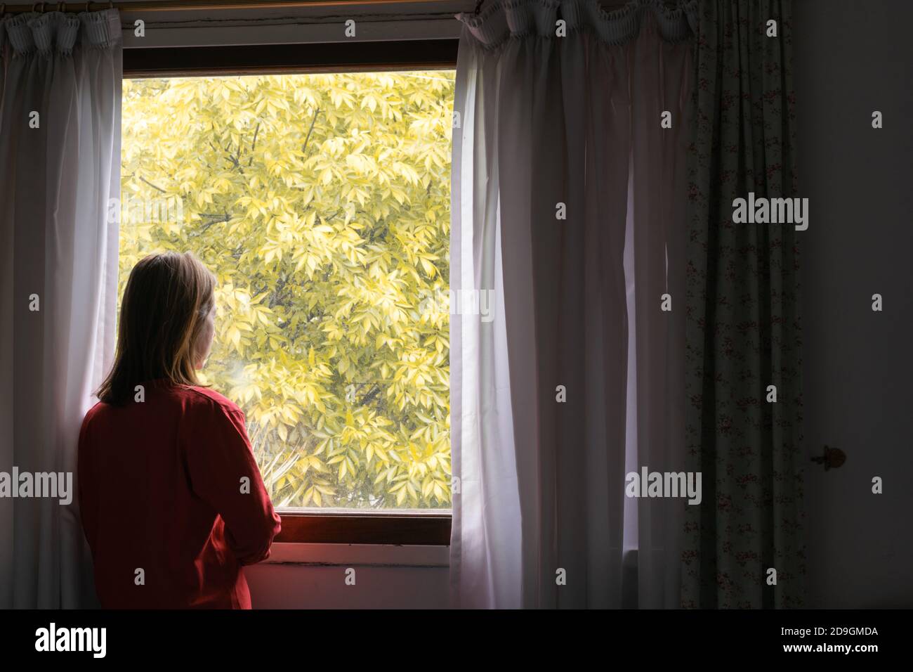 Woman from back looking out a window in autumn, with a background of ...