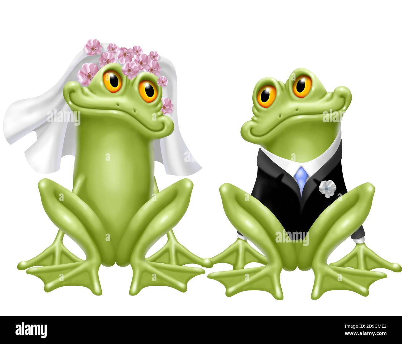 Two frog on a wedding day . Funny animals Stock Photo