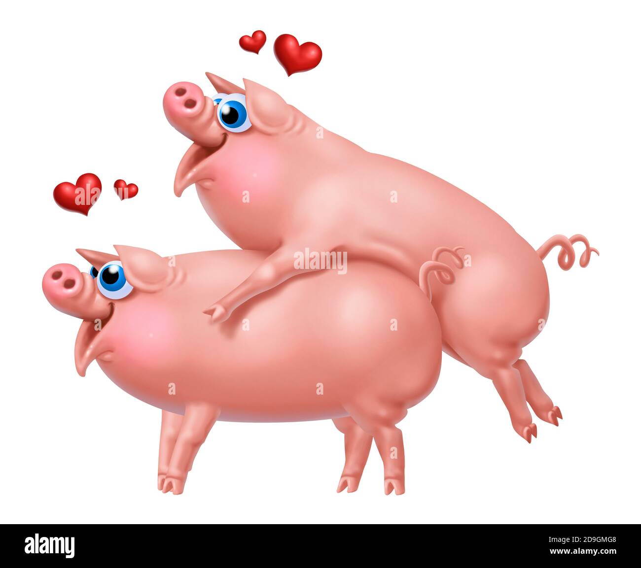 Two pigs in love . Funny animals Stock Photo - Alamy