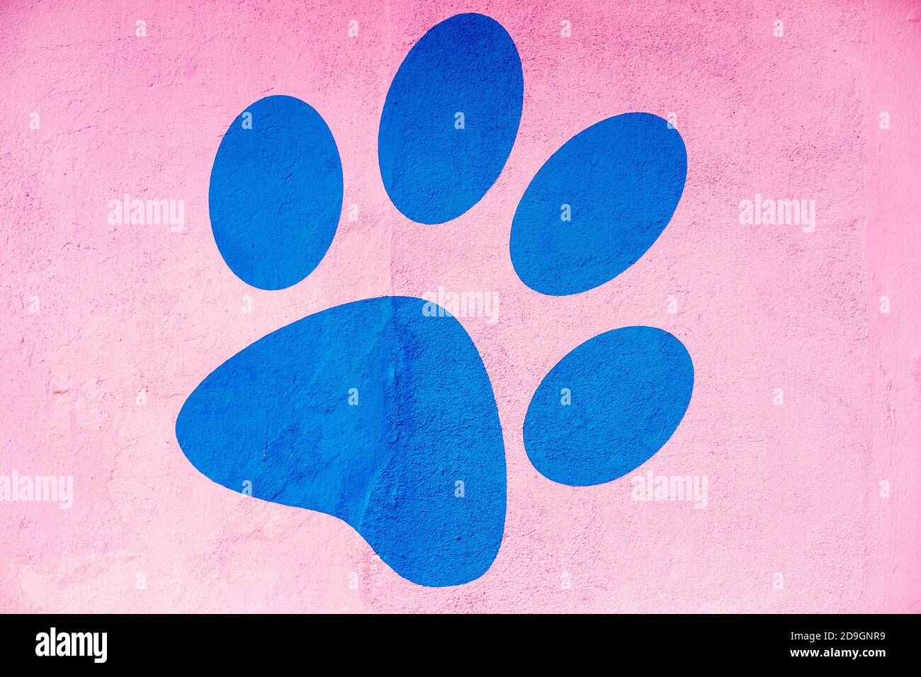 цветные отпечатки ног. следы каблуков. маленькие большие следы. след медведя. маленькие большие следы.