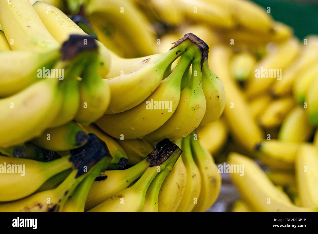 Bunch of bananas shop hires stock photography and images Alamy