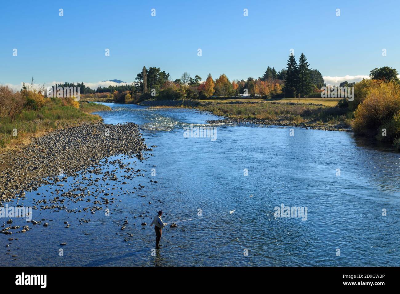 The Tongariro River, New Zealand, in autumn, with a man fishing for trout Stock Photo