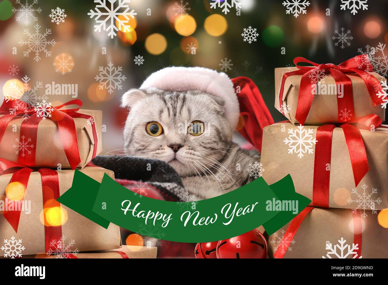 Beautiful New Year greeting card with cute cat Stock Photo - Alamy