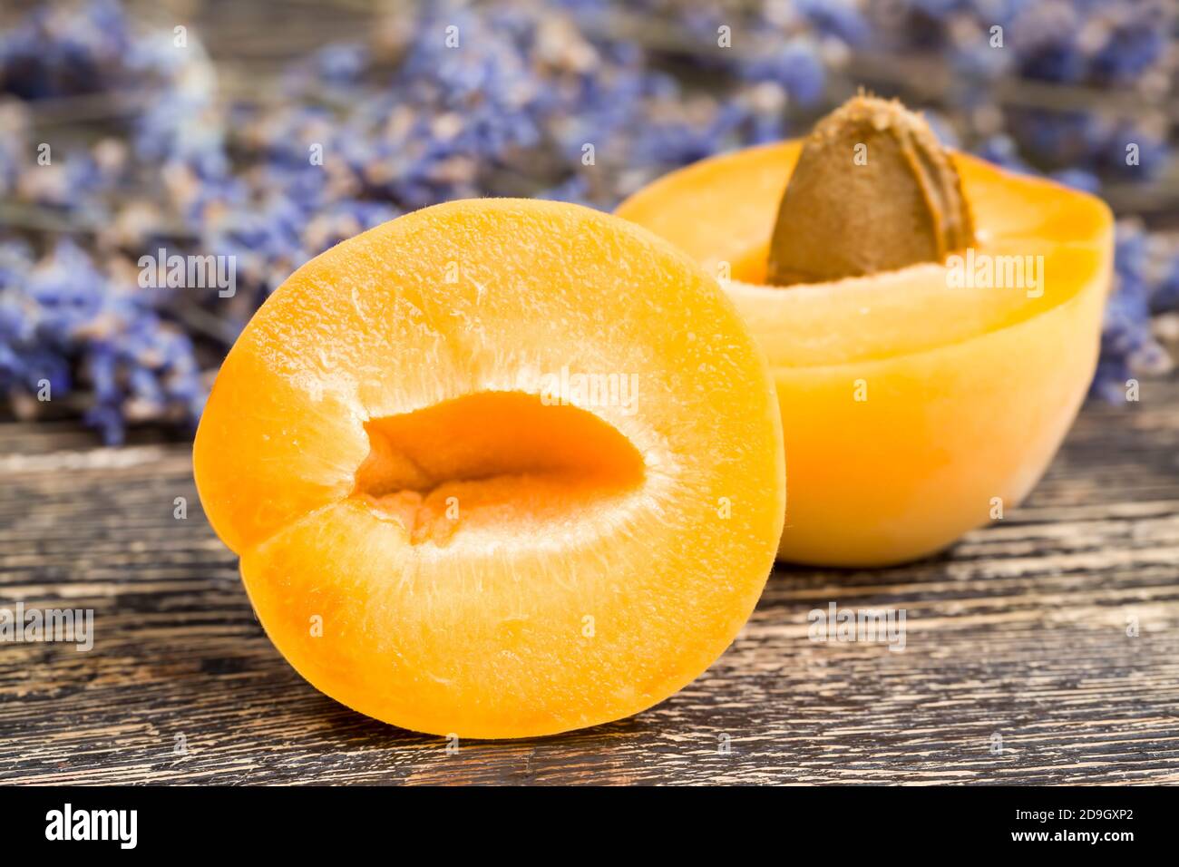 natural lavender flowers and slices of orange apricots Stock Photo