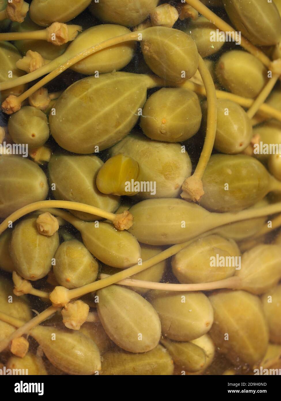 pickled caper berries fruits in a glass jar Stock Photo Alamy
