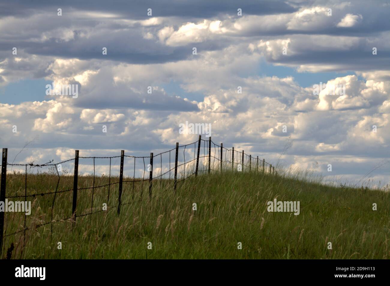 On a summer day brightly lit puffy, cumulus clouds hover over a grassy field divided by a three stranded barbed wire fence. Stock Photo