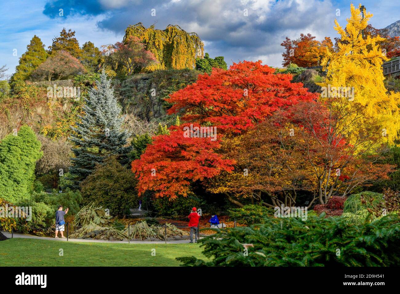Fall colour, Quarry Garden, Queen Elizabeth Park, Vancouver, British Columbia, Canada Stock Photo