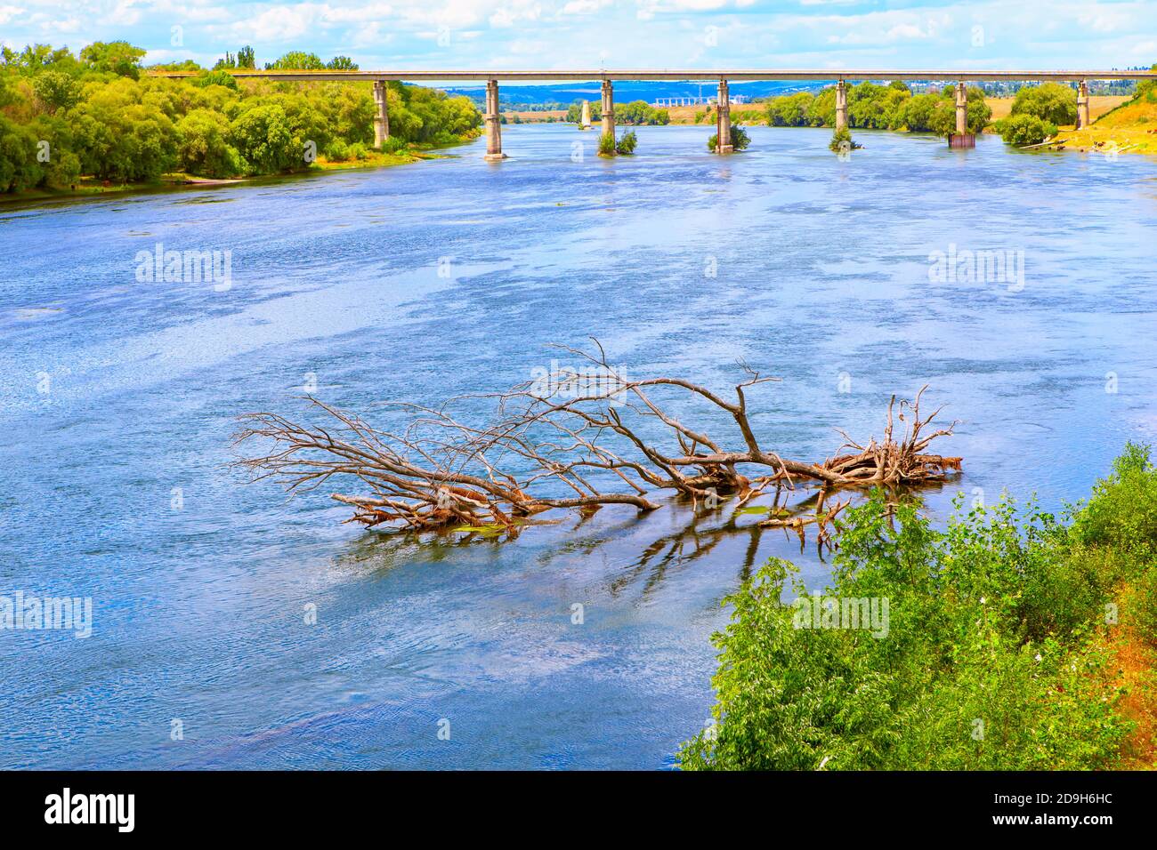Scenery with tree in the river water . Nature after the flood Stock Photo