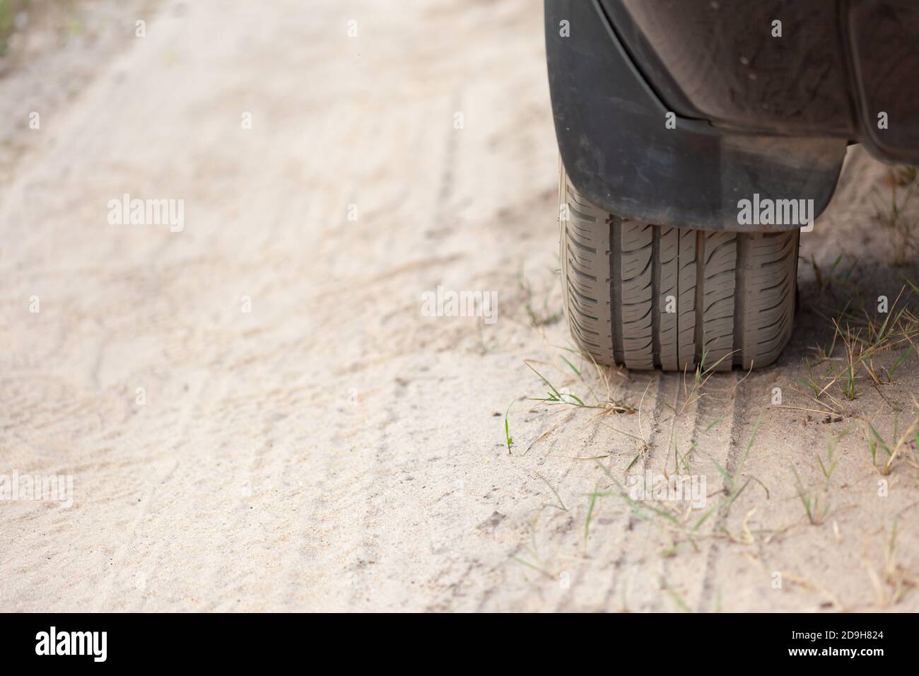 rear wheel of the car on a dirt road Stock Photo