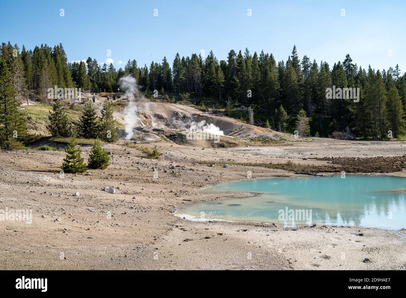 Geysers and hot springs along the Porcelain Basin Trail in Norris ...
