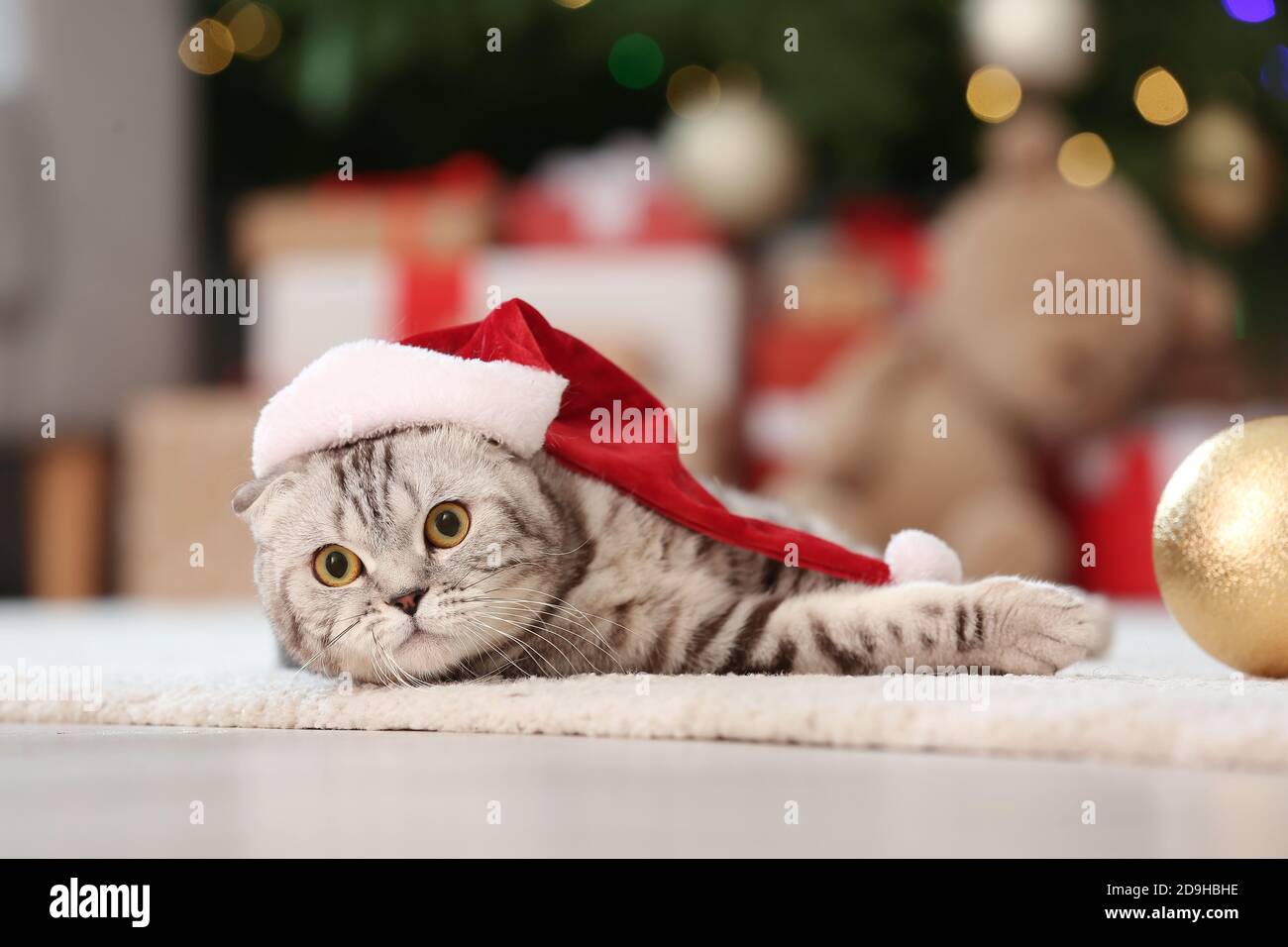 Cute funny cat in Santa hat at home on 