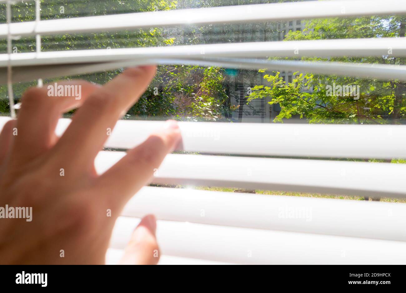 hand opens with fingers blinds, outside window there is sunlight and green trees, selective focus Stock Photo
