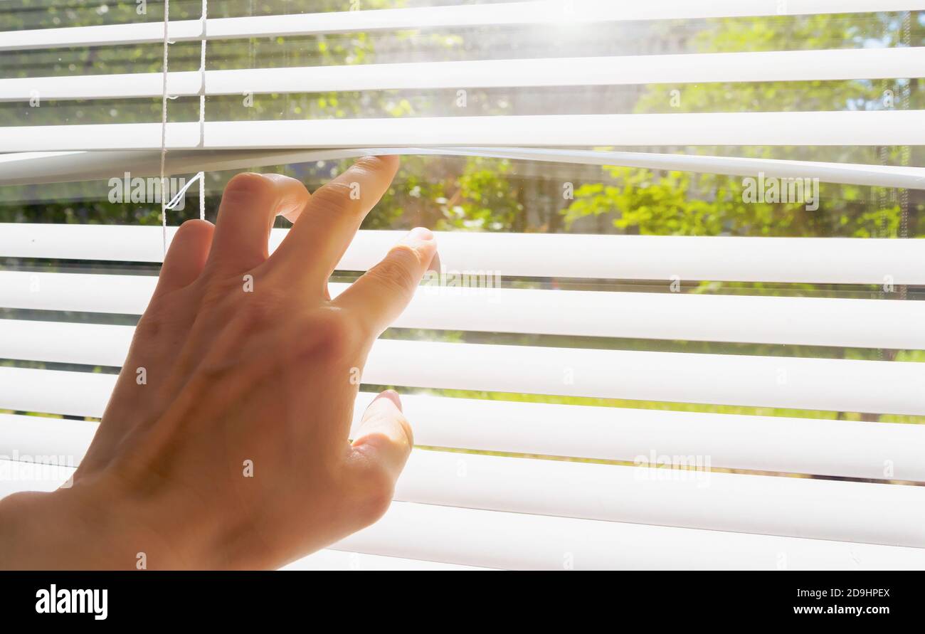 hand opens with fingers blinds, outside window there is sunlight and green trees. Concept hot summer and scorching sun Stock Photo