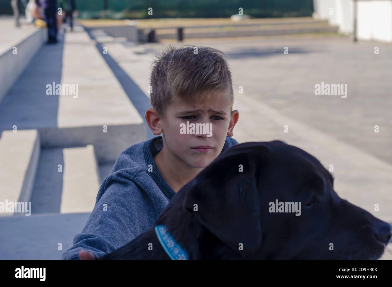 Portrait of an eightyearold boy and an 11yearold labrador during a