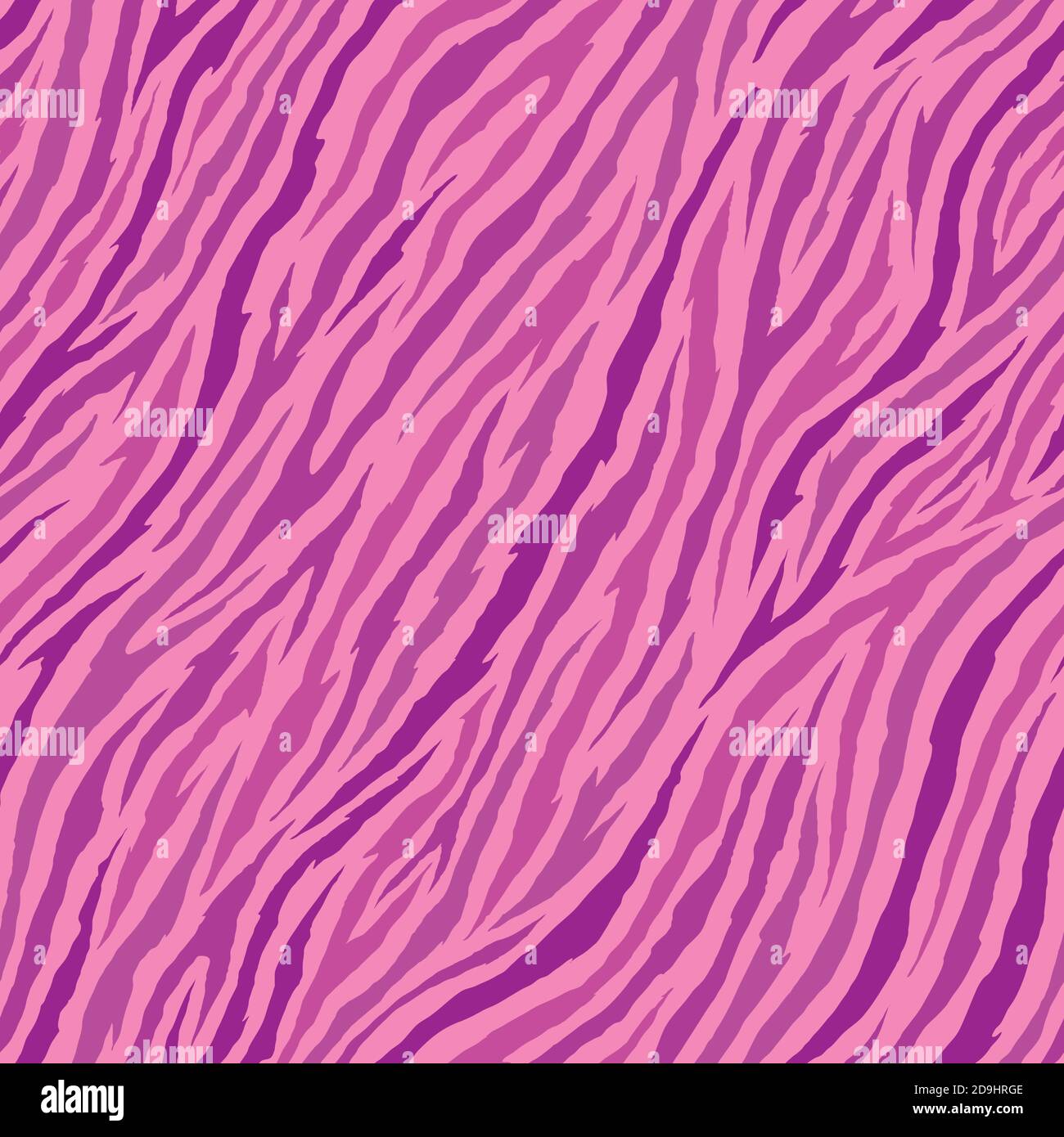 Pink Zebra 4