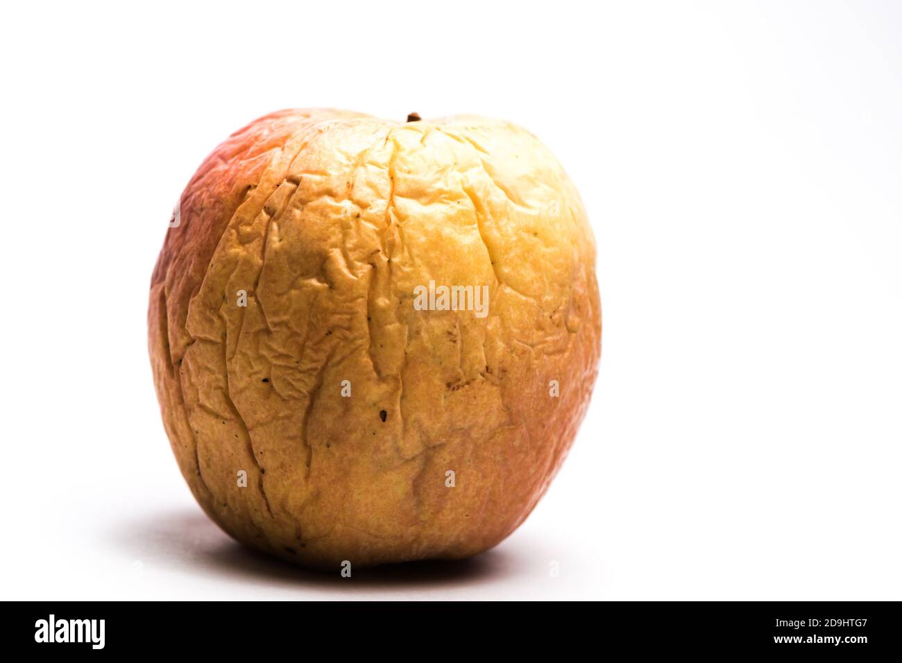 Shriveled yellow and red apple with deep wrinkles on white background.  Concept of aging. Stock Photo