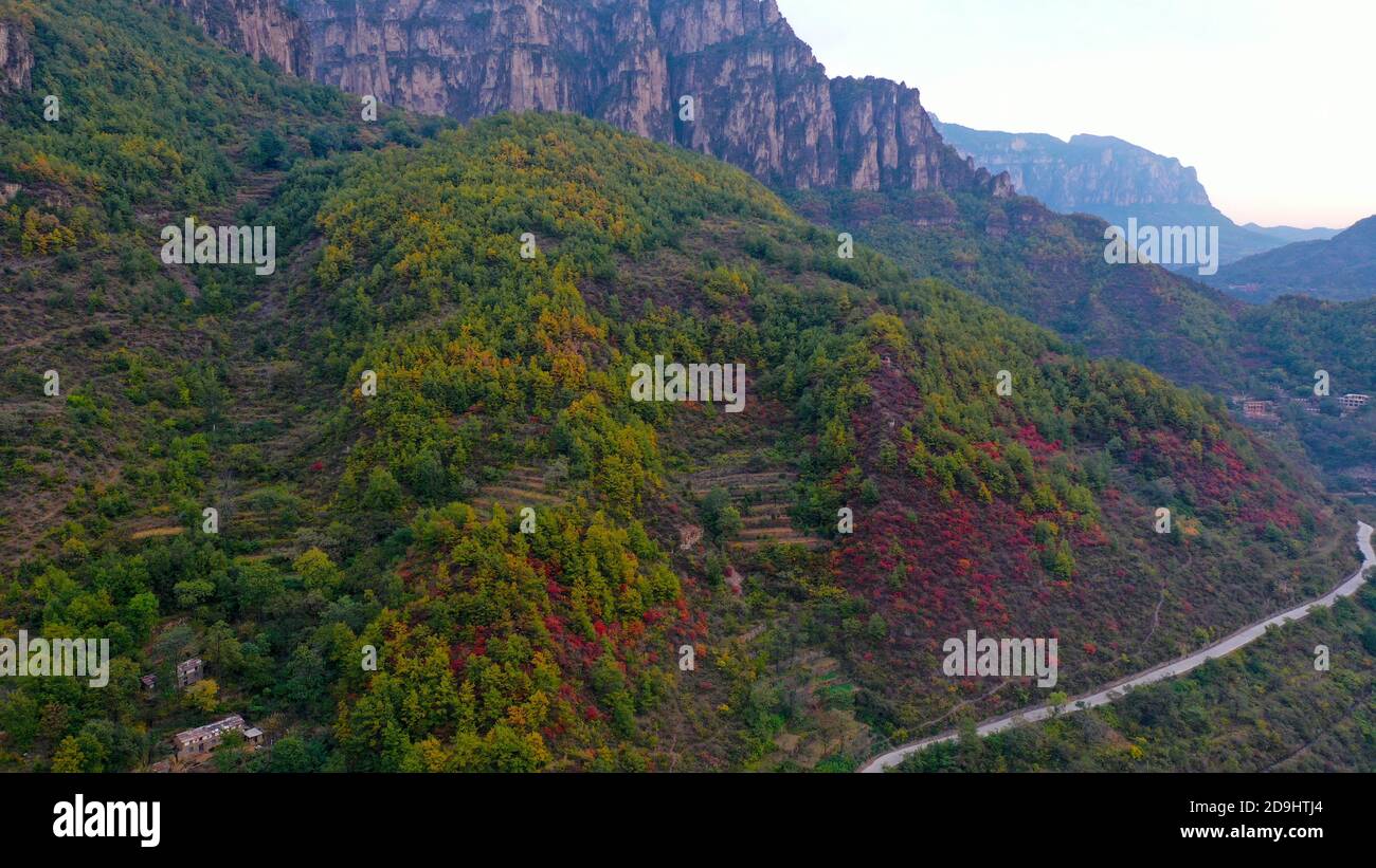 An aerial view of Taihang Mountains, a Chinese mountain range running down the eastern edge of the Loess Plateau, with trees becoming either red and y Stock Photo