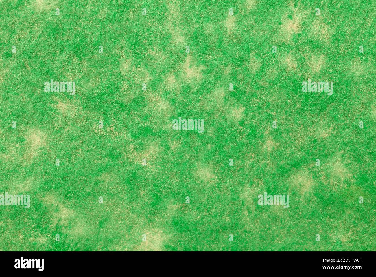 Abstract art background light green and olive colors. Watercolor painting on canvas with yellow