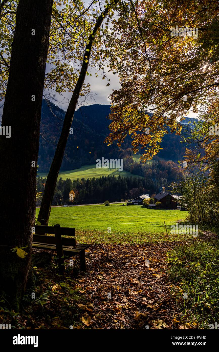 Blick aus dem Herbstwald auf Meltau im Bregenzerwald mit dem Hausberg Gopf im Hintergrund. Ein Bauernhof steht auf der Wiese. autumn view of farmhouse Stock Photo