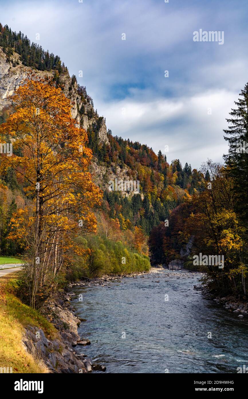 Der Bergbach fliesst durch den bunten Herbstwald. The mountain stream flows through the colorful autumn forest. Mellau, Bregenzerwald, Austria Stock Photo