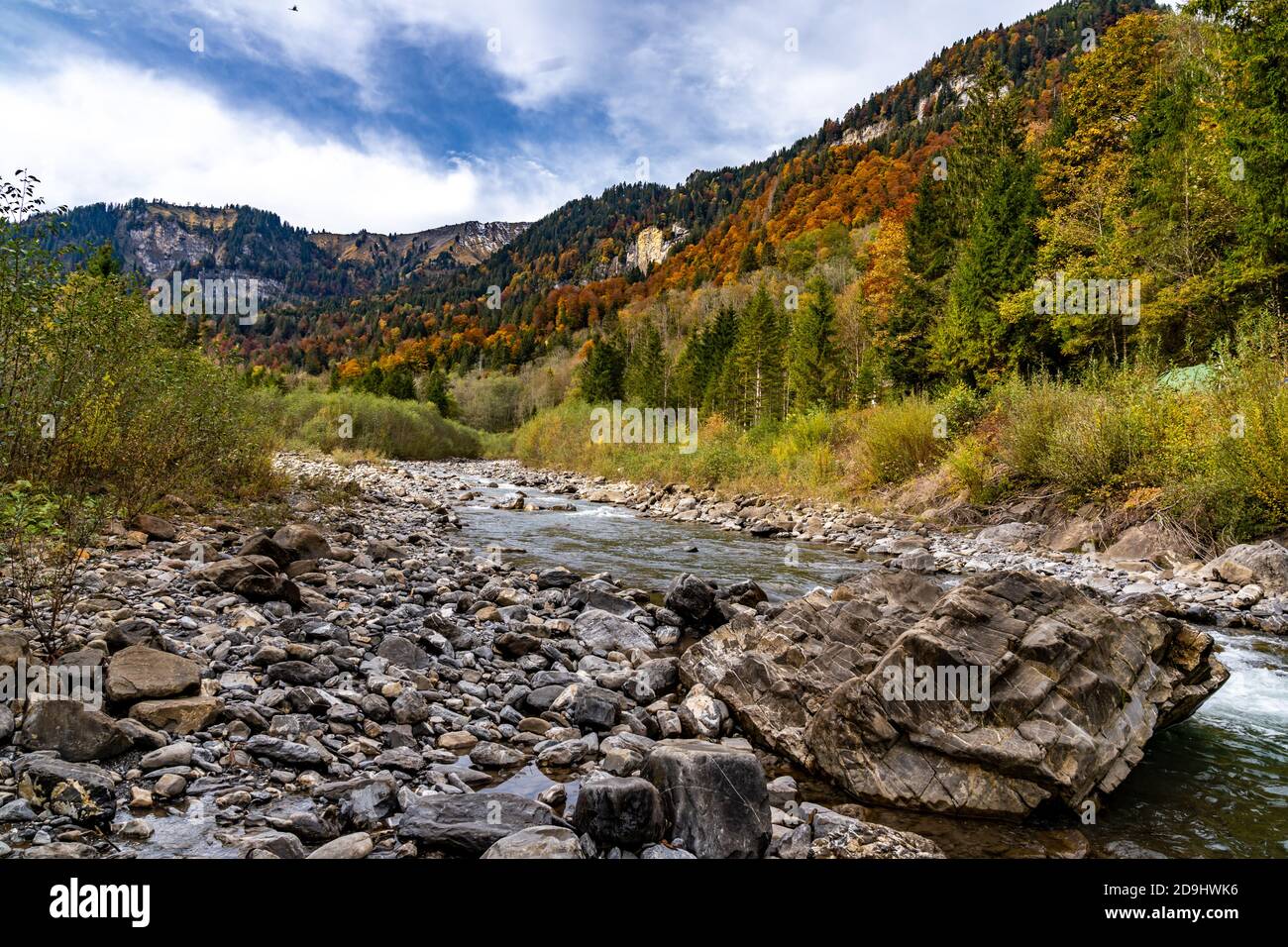 Der Bergbach fliesst durch den bunten Herbstwald. The mountain stream flows through the colorful autumn forest. Mellau, Bregenzerwald, Austria Stock Photo