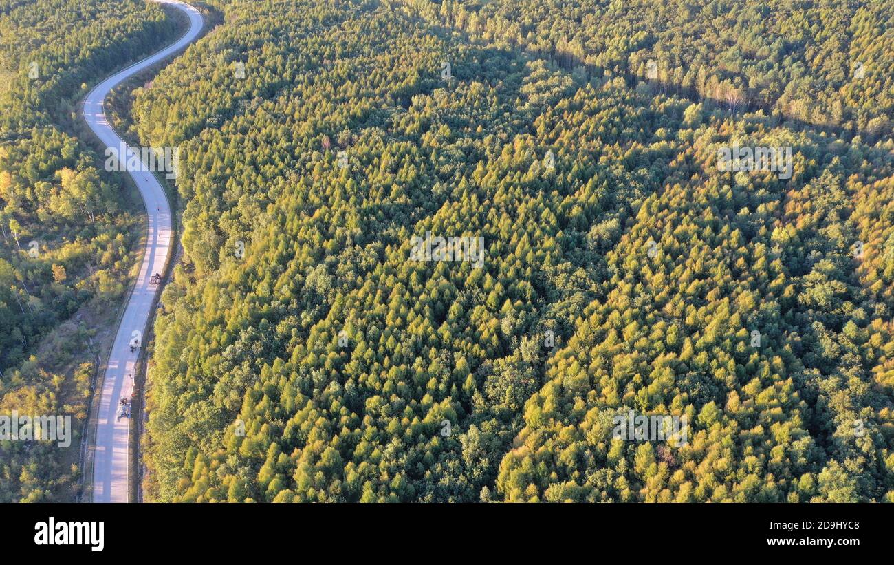 Aerial photos of the 331 National Highway, passing through the forest