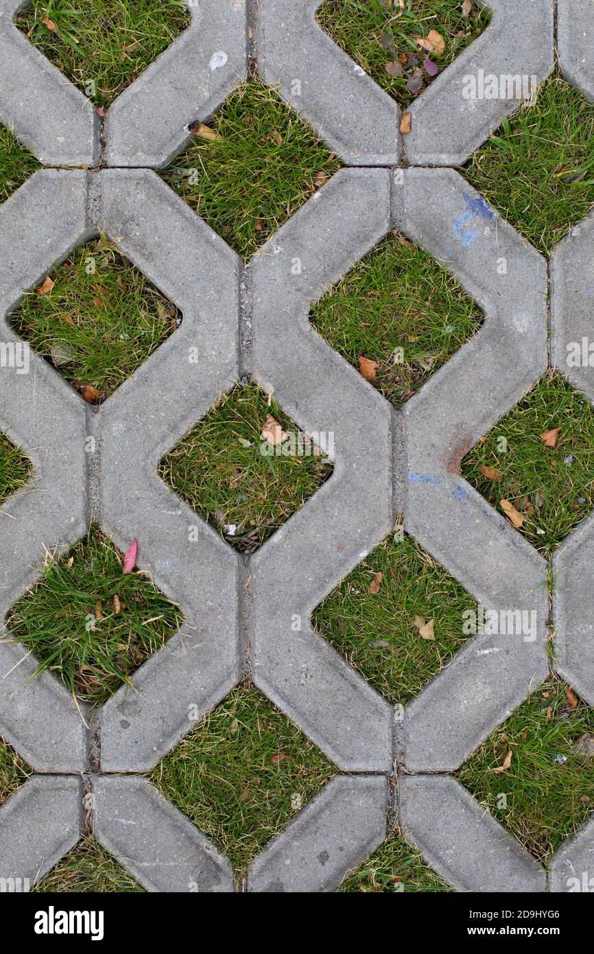 Concrete grating with green grass, ecofriendly city street decoration top view. Environmentally
