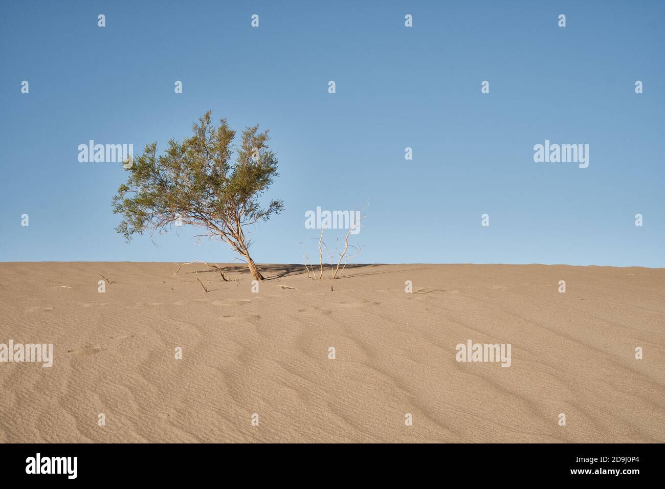 Arid desert death valley sunset hi-res stock photography and images - Alamy