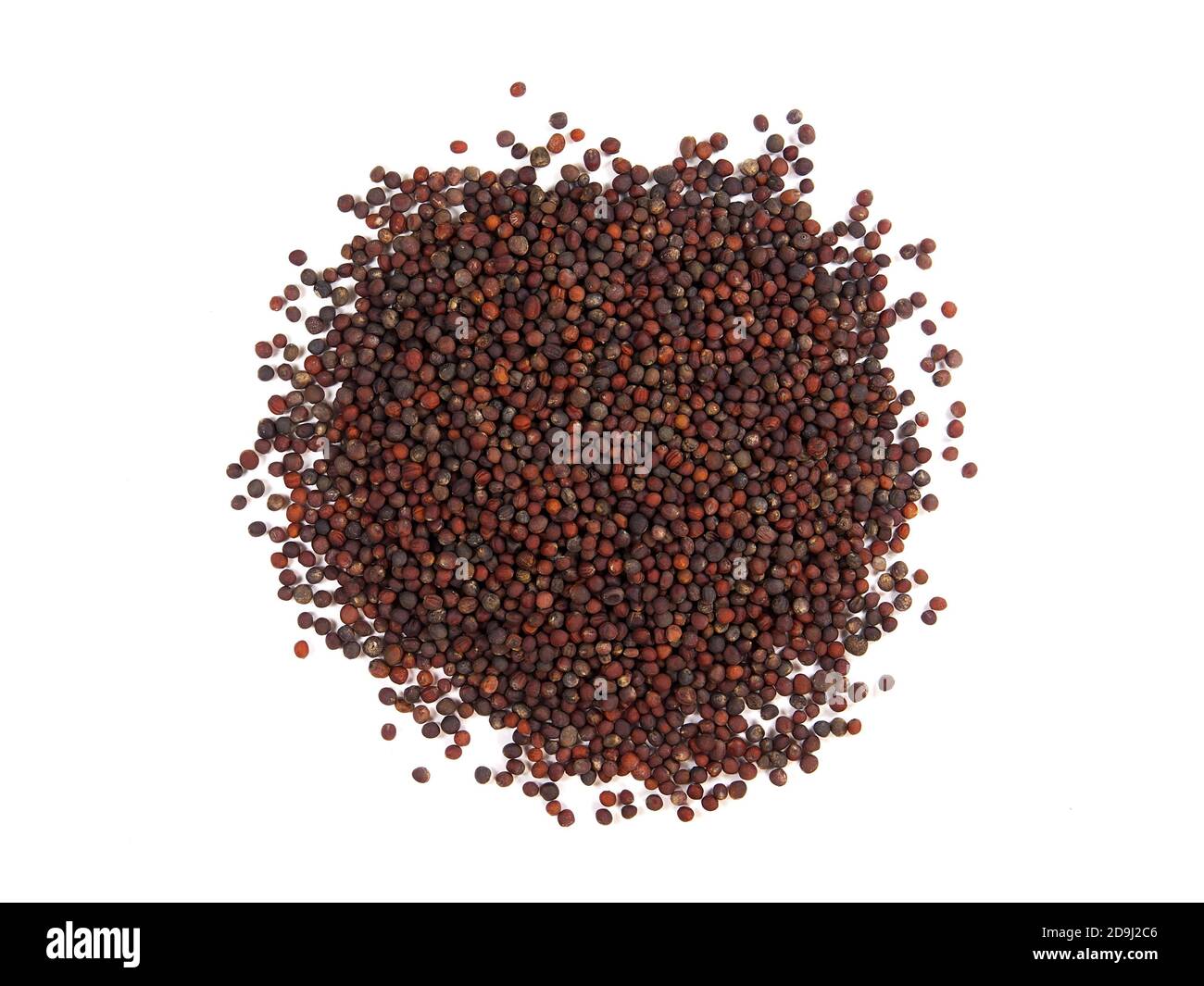 Pile of Cabbage seeds isolated on white Stock Photo Alamy