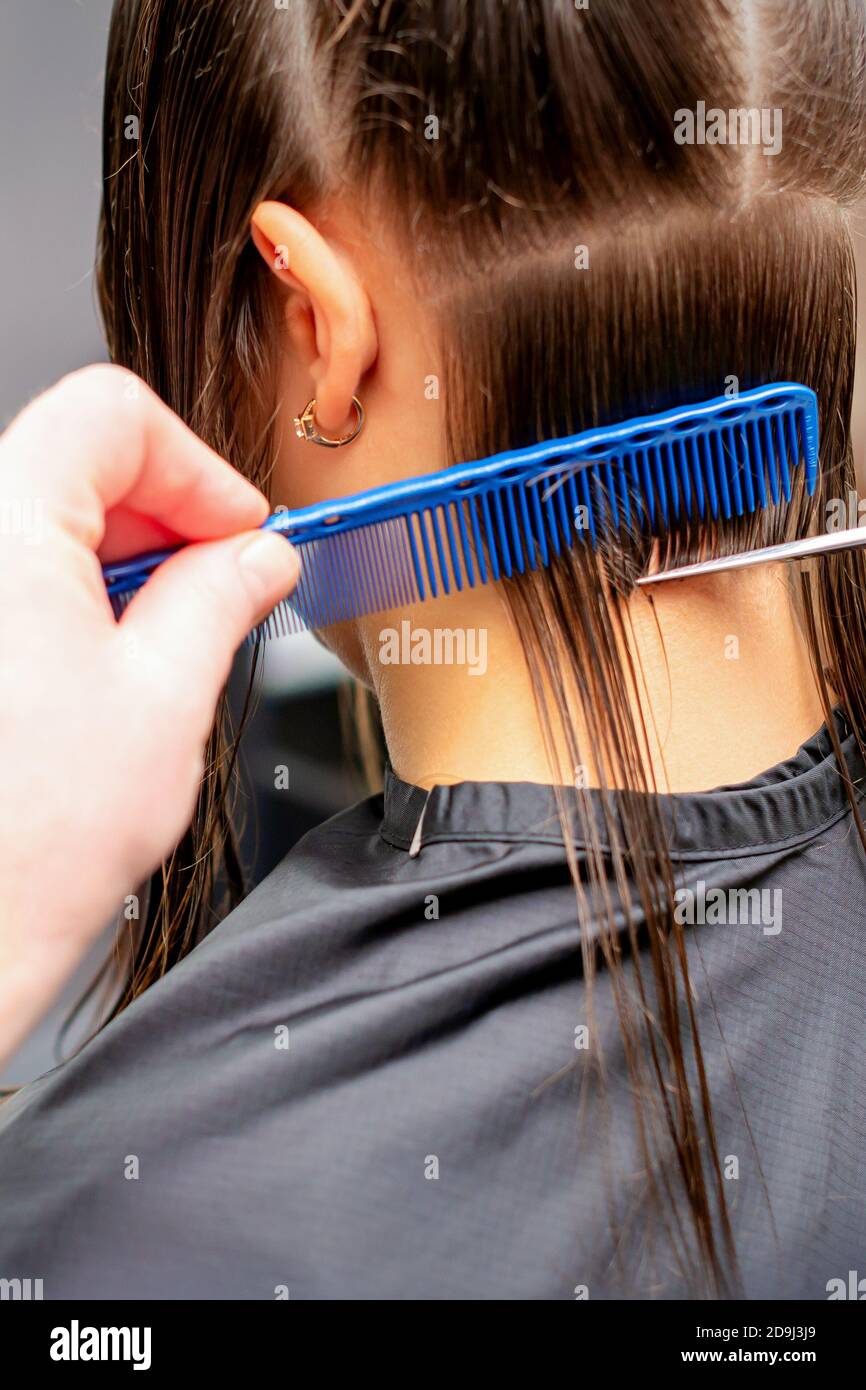 Back view of hands of male hairdresser cuts off long hair of young woman in  hair salon Stock Photo - Alamy