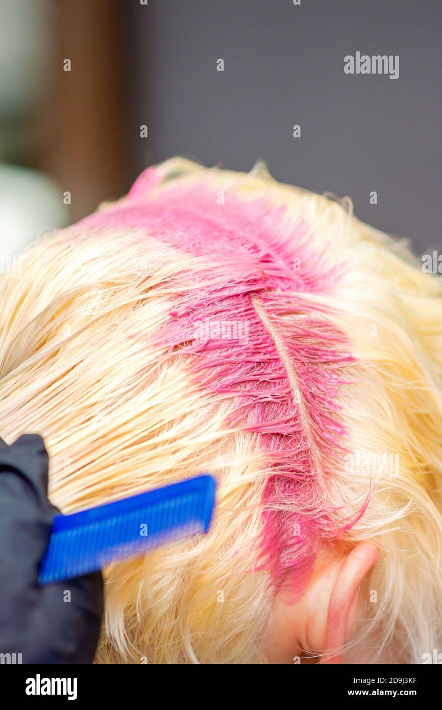 Hair coloring in pink color on hair roots of young blonde woman in hair  salon. Selective focus Stock Photo - Alamy