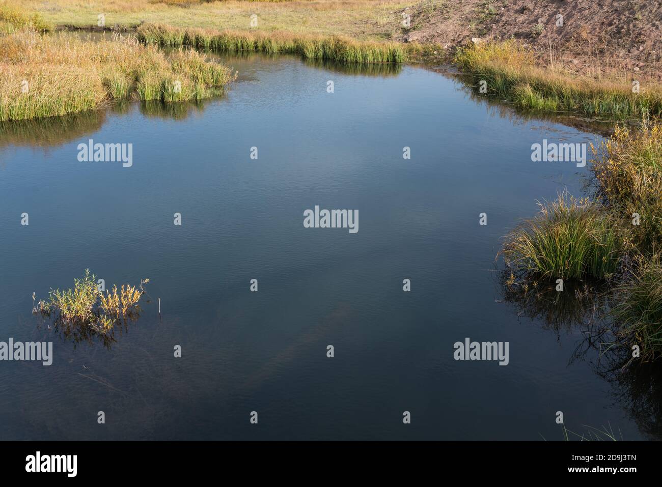 A beaver pond on Tin Cup Creek in Idaho Stock Photo Alamy