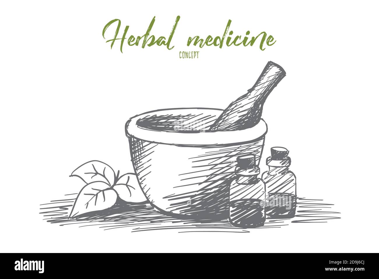Hand drawn herbal medicine in vials with lettering Stock Vector Image
